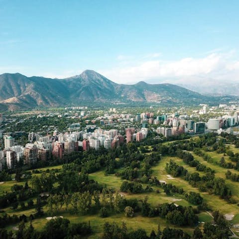 A Floral Expedition Through the Markets of Santiago