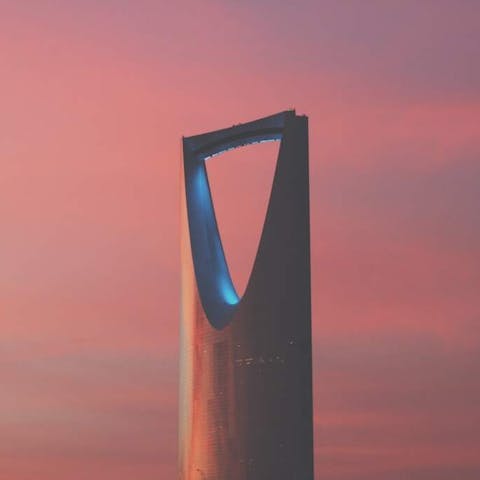 The Blooming Deserts of Riyadh: A Floral Miracle