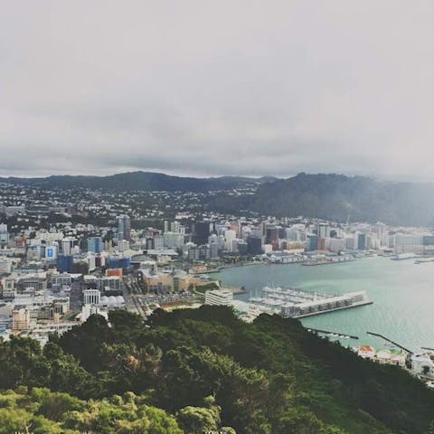 Experiencing the Flower Markets of Wellington