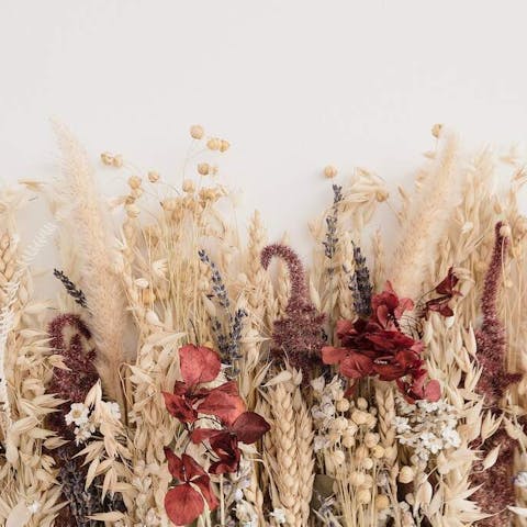 How to Dry Out Flowers: Preserving Nature’s Beauty