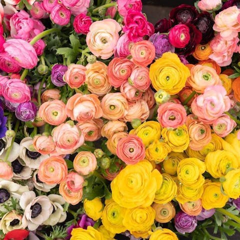 Get Flowers Delivered Today with Floraqueen