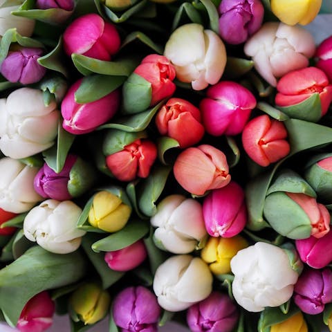 Where to Buy Bouquet of Flowers: The Ultimate Guide
