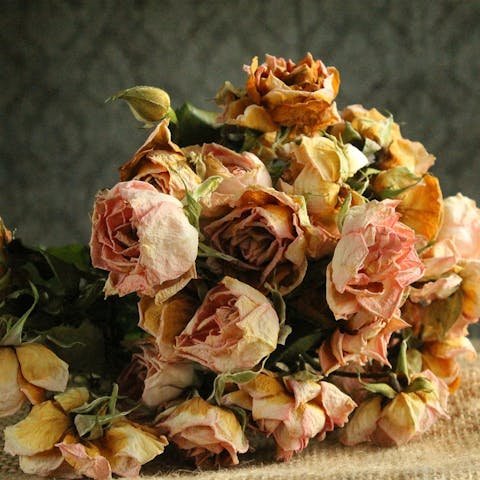 How to Dry a Bouquet of Flowers: A Comprehensive Guide