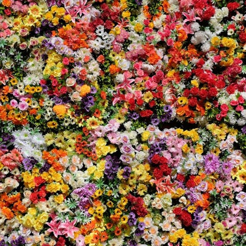 Types of Flowers: 158 Different Kinds of Flowers