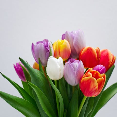 Sending Flowers from Italy to Spain with FloraQueen