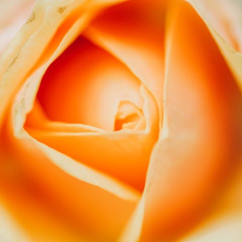 Creating Special Moments with Flower Surprises