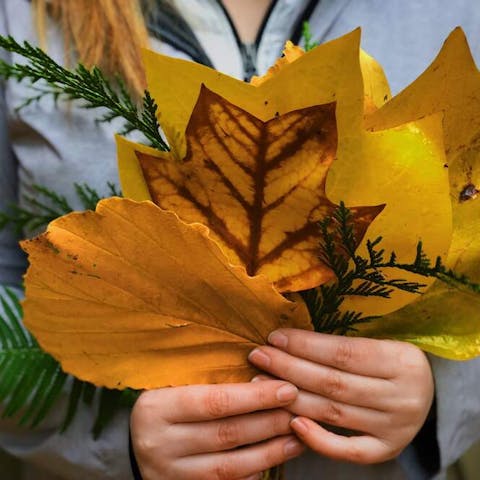 How To Keep Bouquet Fresh