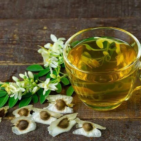 How to Grow and Care for Moringa Plants: A Comprehensive Guide to Growing and Nurturing this Nutritious Superfood