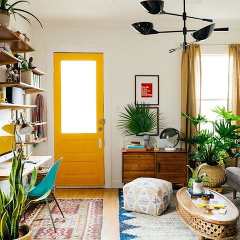 the best Hard-To-Kill Plants