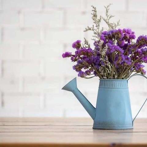 How to choose the best plants and flowers to decorate your home
