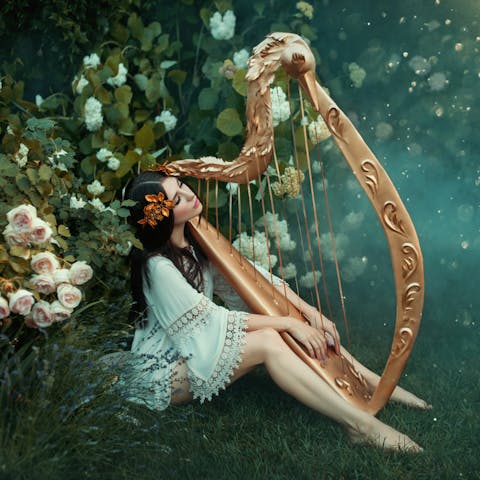 What Are Some Well Known Songs About Flowers?