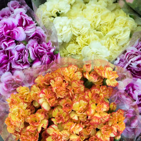 Why Should You Bulk Flowers Online: Discover the Possibilties