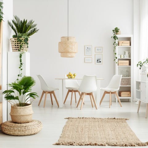 Indoor plants. Which plants purify the air in your home?