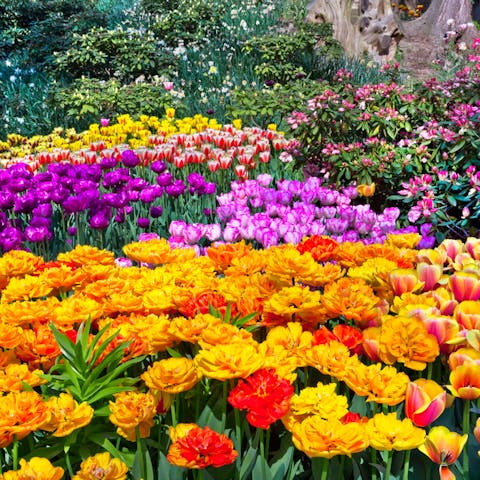 Learn the Meaning of Flowers Through the Art of Floriography