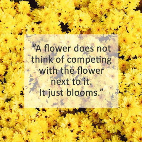 Learn Quotes about Flowers and Be Romantic