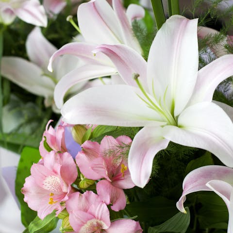 What to Send Instead of Flowers for Sympathy