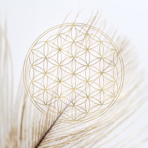 The Flower of Life: Meaning, Origin, and Symbolism