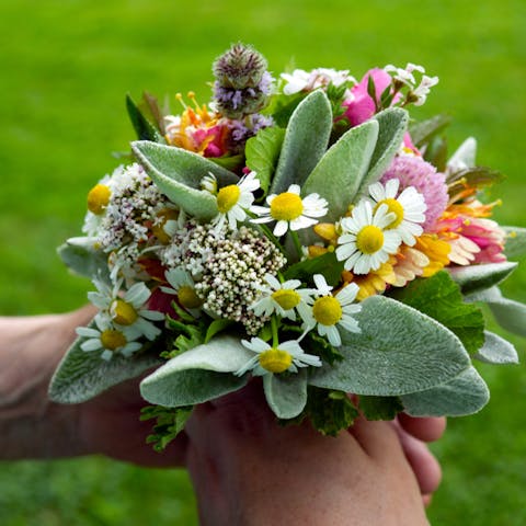 Posy Flower Meaning: An Ancient Expression of Love