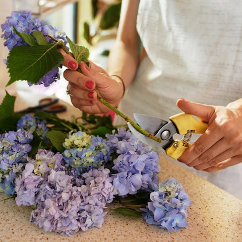 How to Cut a Flower Stem Correctly