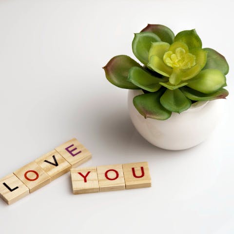 Express How You Feel Through Words of Romance