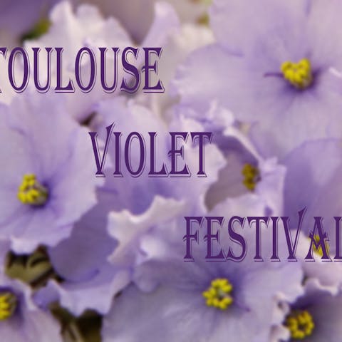 The Flowers of February: Violets