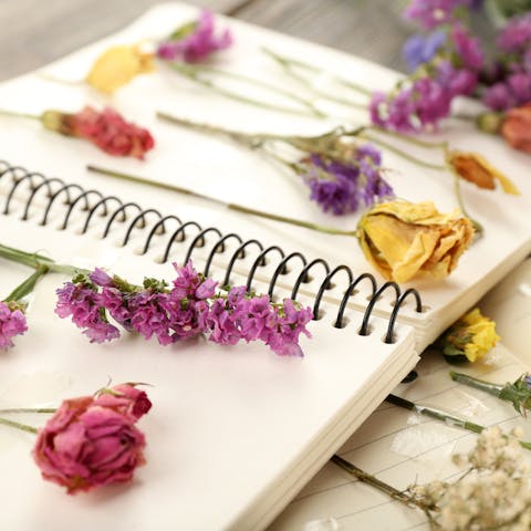 How to Dry Flowers: Keep Your Beloved Bouquet Longer
