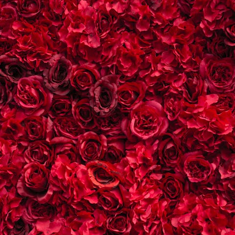 5 Weird Reasons That People Have Sent Flowers