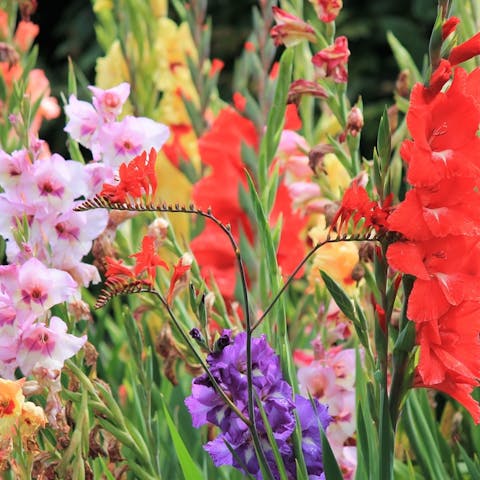 When to Send Flowers After a Death