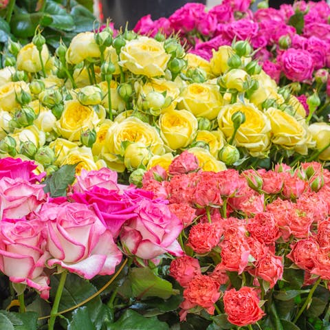 Roses: Their Secret Language and Celebrity Inspired Names