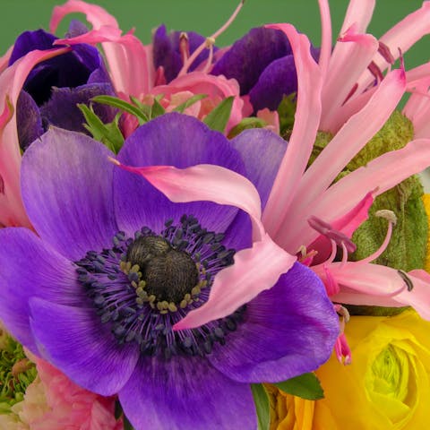 Same-day Flower Delivery
