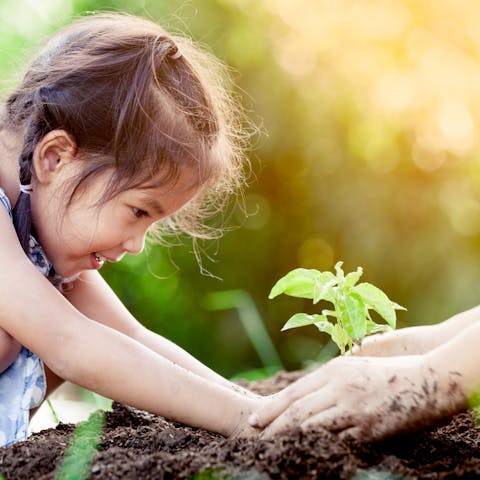 Top Reasons to Give Mother’s Day Plants