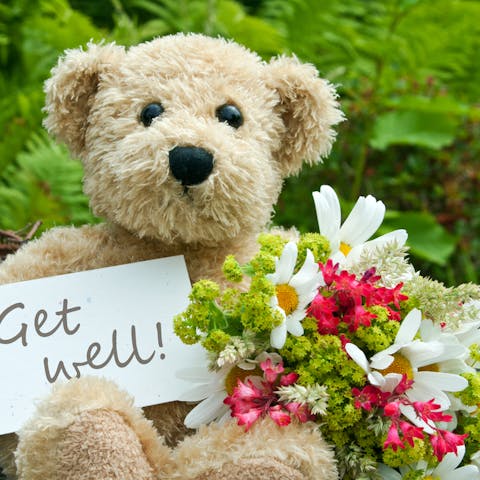 Get Well Soon Flowers with FloraQueen