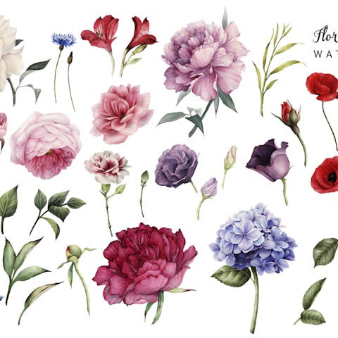 Bring Nature’s Beauty to Life with Watercolor Flowers
