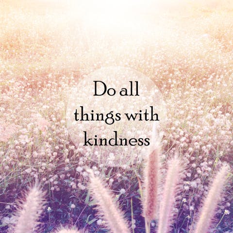 Kindness Quotes to Warm the Heart and Soul