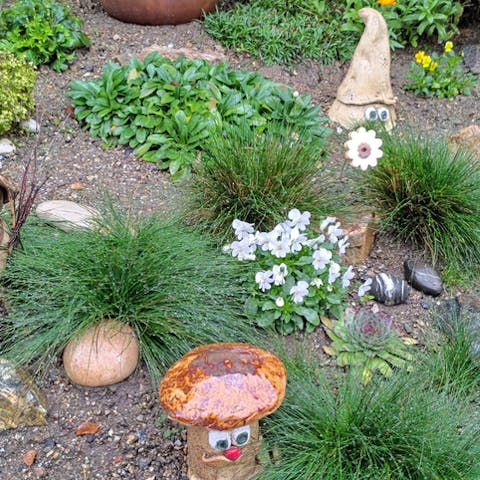 Beautify Your Garden: Best Perennials for Any Yard