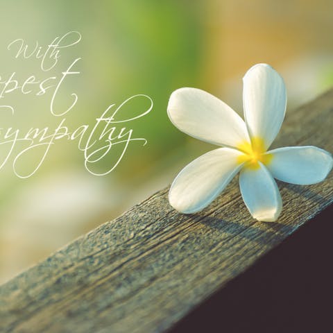 Sympathy