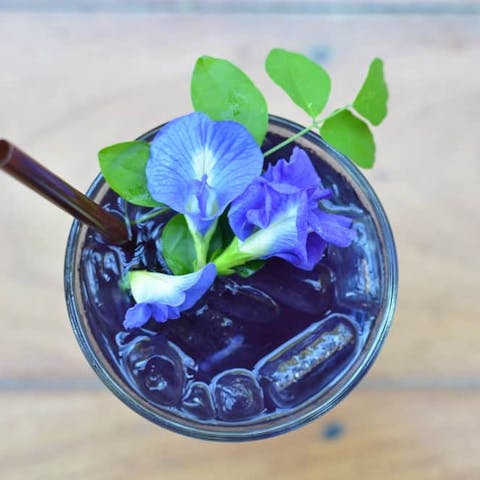 Butterfly Pea Flower