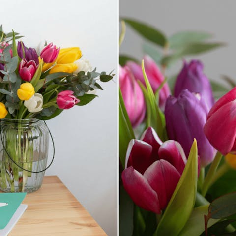 Why This Colourful Tulip Bouquet is Our Favourite In March