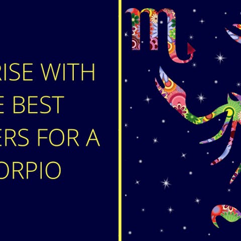 Surprise With The Best Flowers For A Scorpio