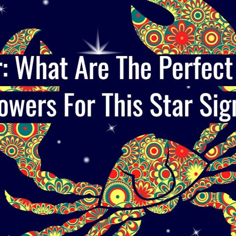 Cancer: What Are The Perfect Zodiac Flowers For This Star Sign?