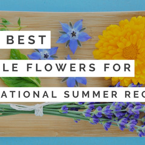 The Best Edible Flowers For Sensational Summer Recipes