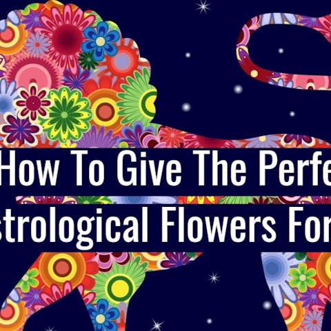 How To Give The Perfect Astrological Flowers For Leo
