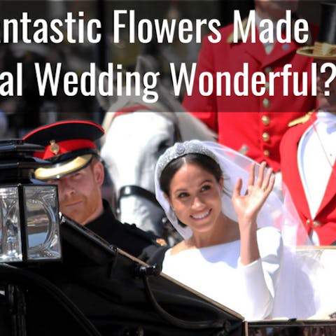 What Fantastic Flowers Made The Royal Wedding Wonderful?