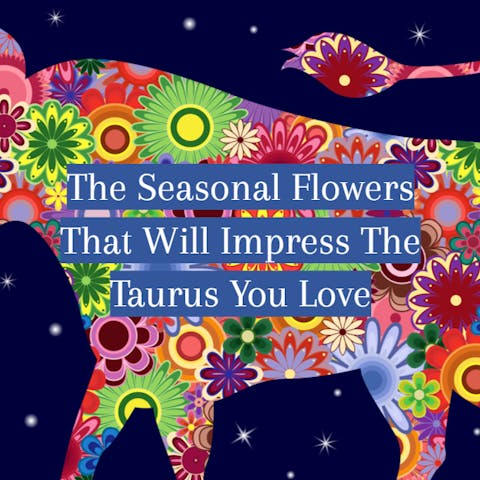 The Seasonal Flowers That Will Impress The Taurus You Love