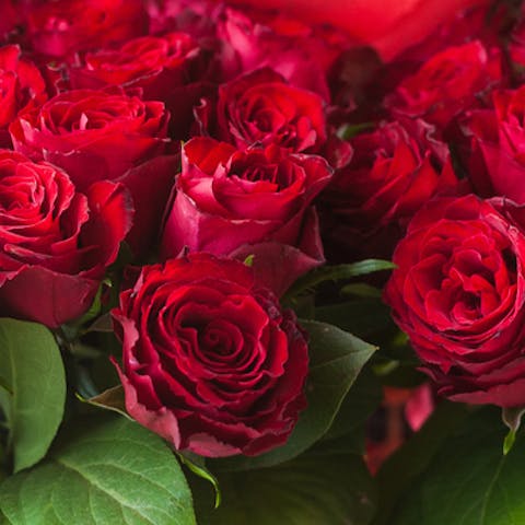 The Meaning of Roses by number- Part 1