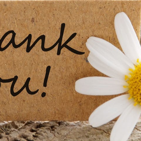 Your Guide to the Best Thank You Flowers