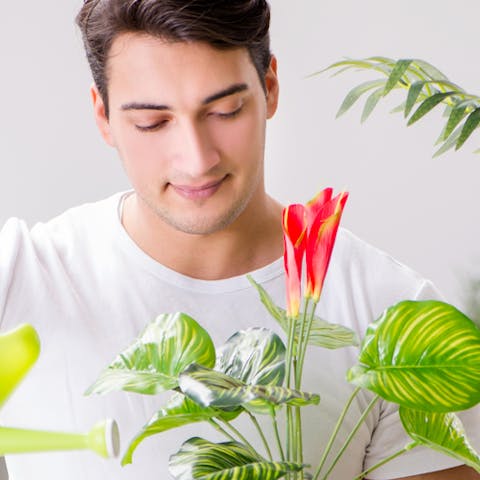 What are the 5 best flowers to give to men?