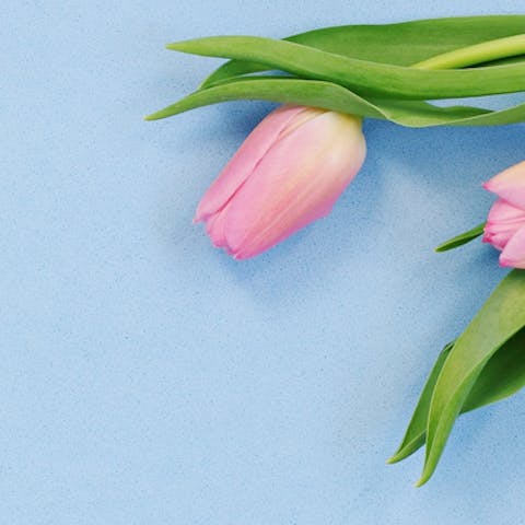 Decoration ideas for the spring