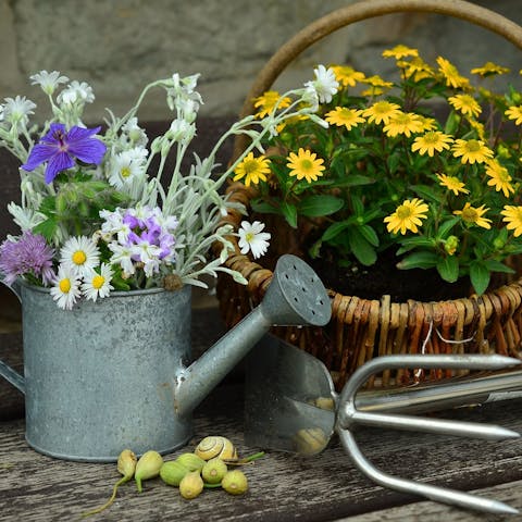 5 Health Benefits of Gardening