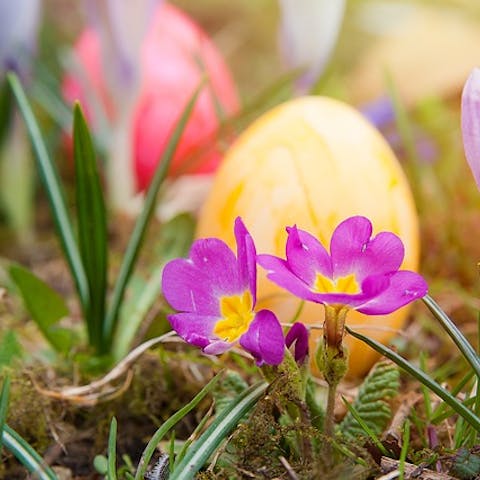 How is Easter celebrated in the world?